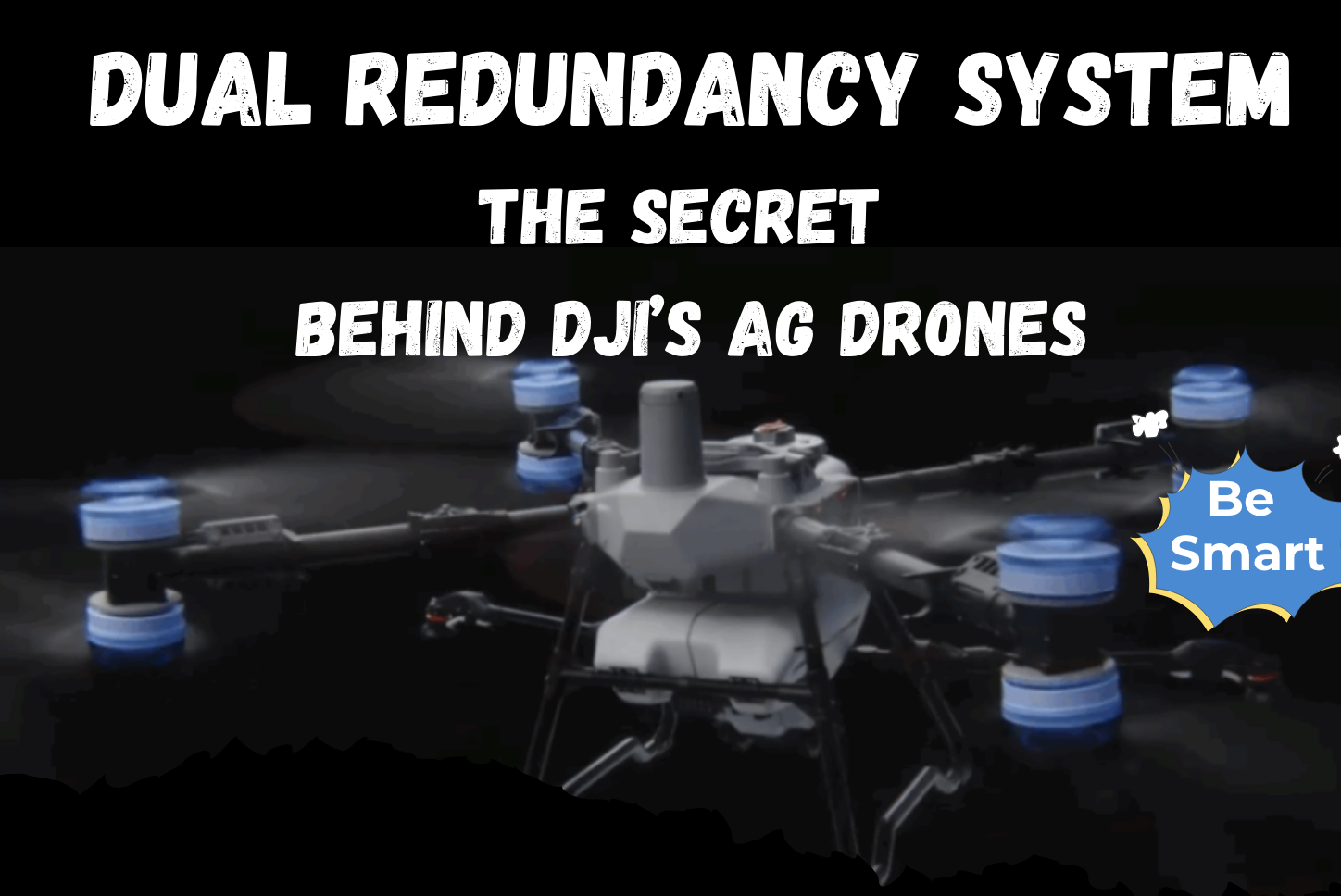 dual redundancy system