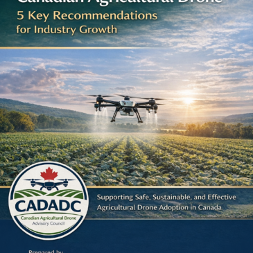 5 Industry Recommendations