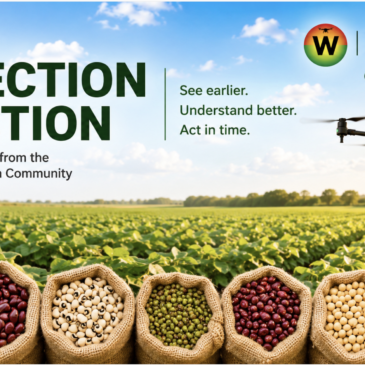 Rethinking Drones in Dry Beans