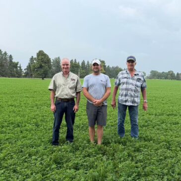 TIMAC AGRO + Wonderfull: Protecting Crops Before Problems Become Visible